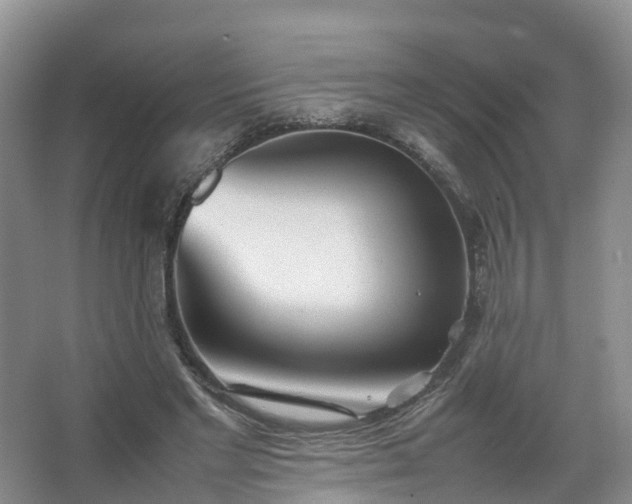 X0000067520493200604150203