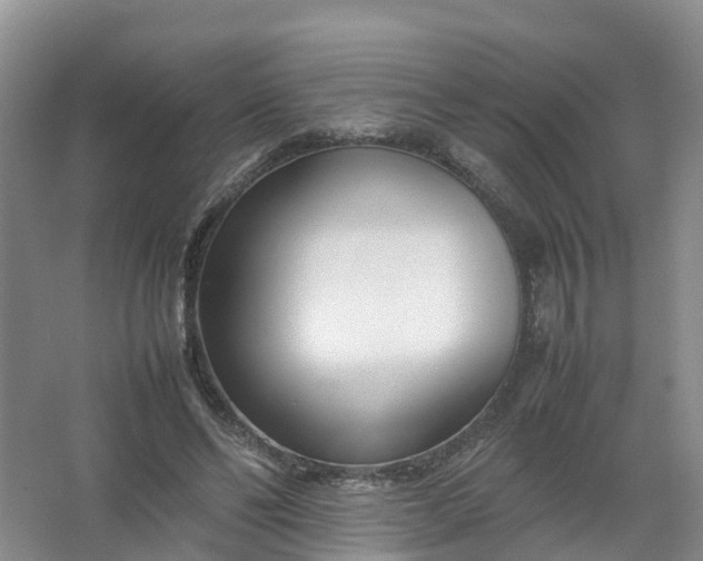 X0000067520494200604150203