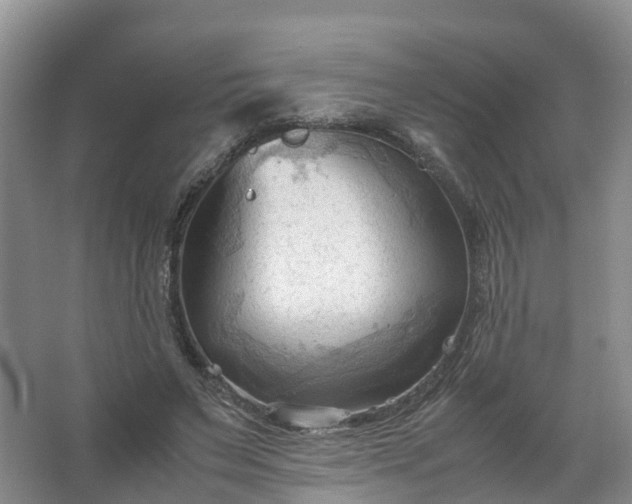 X0000067520495200604150203