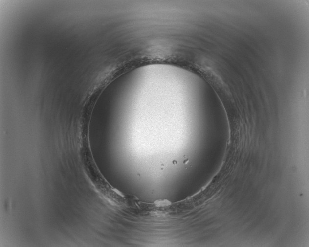 X0000067520496200604150203