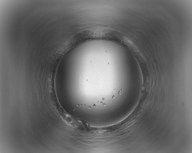 X0000067520497200604150203