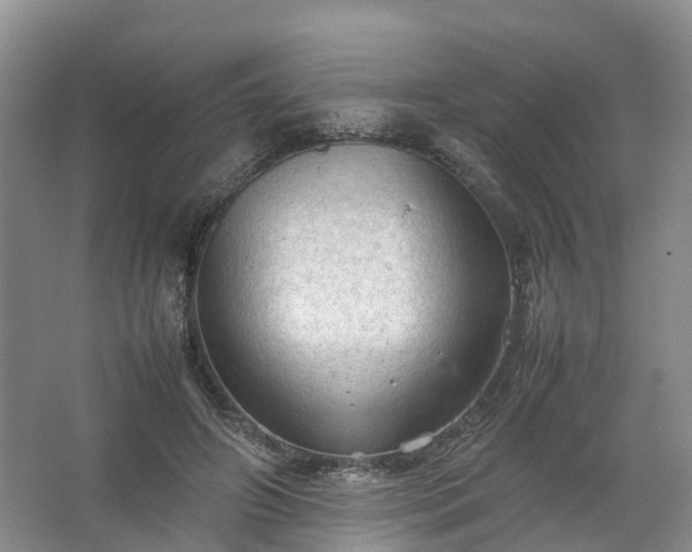 X0000067520498200604150203