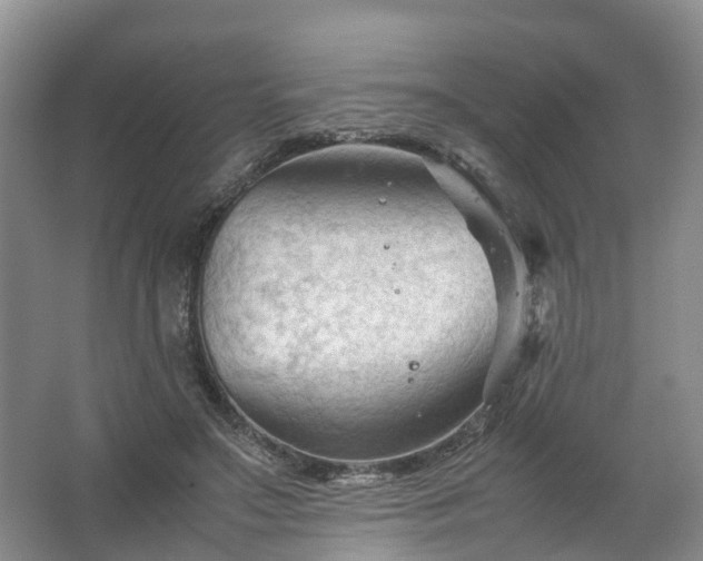 X0000067520499200604150203