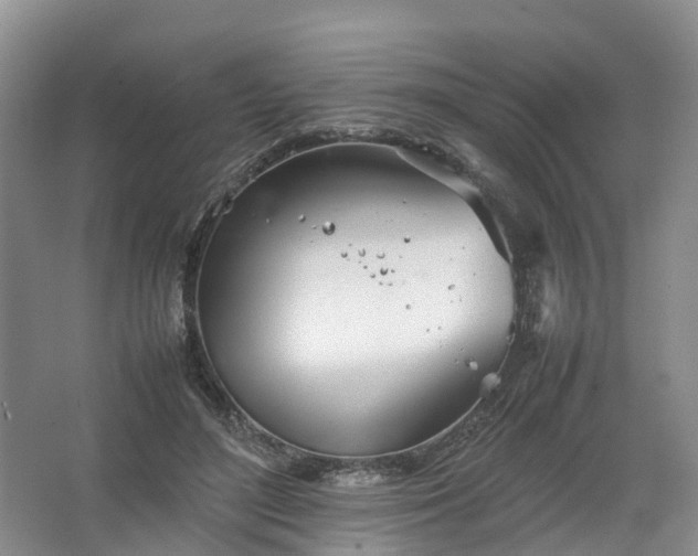 X0000067520500200604150203