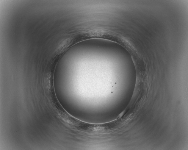 X0000067520501200604150203