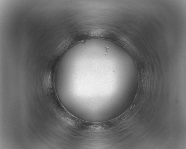 X0000067520502200604150203