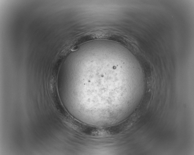 X0000067520503200604150203