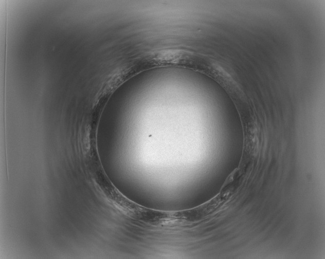 X0000067520504200604150203