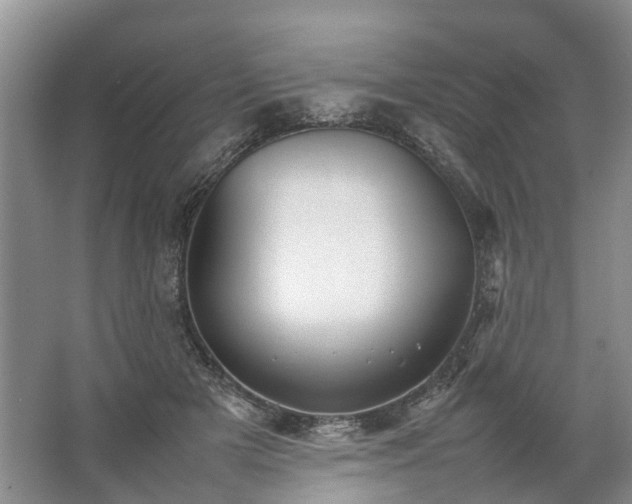 X0000067520505200604150203