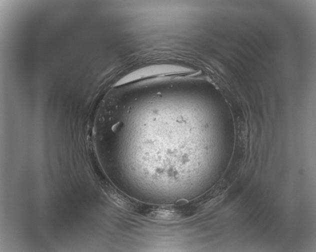 X0000067520507200604150203