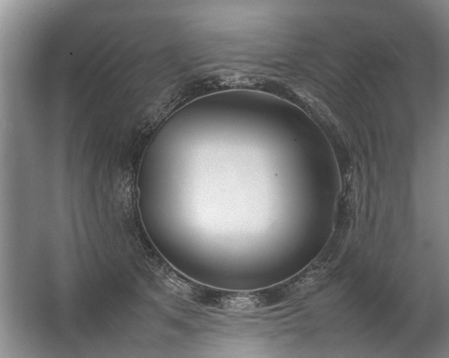 X0000067520513200604150203