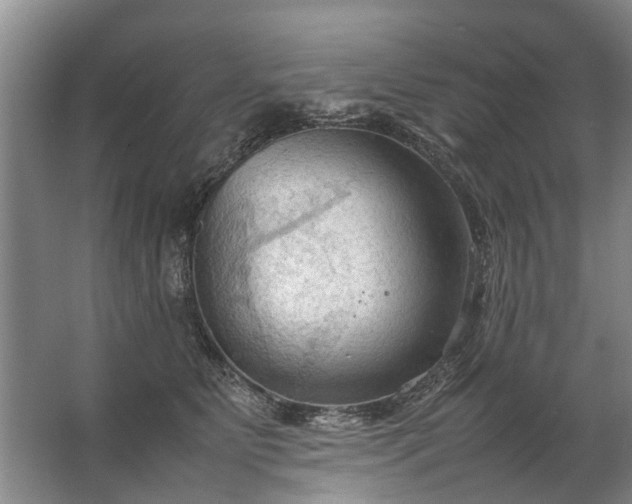 X0000067520515200604150203