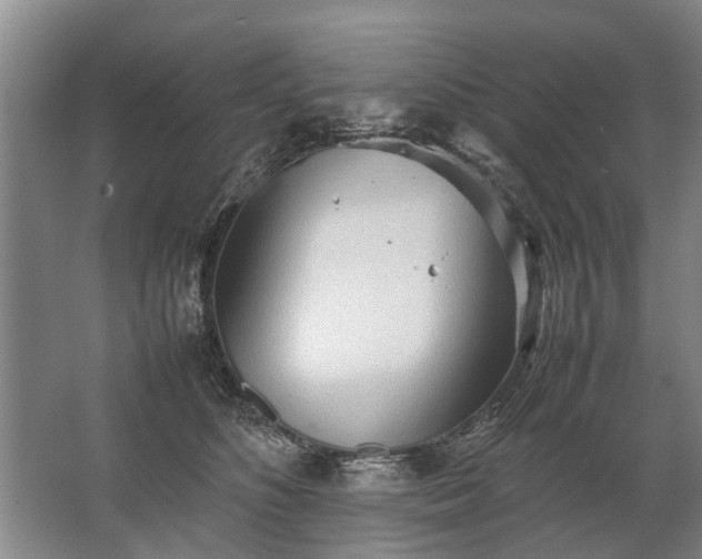 X0000067520516200604150203