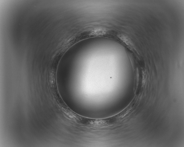 X0000067520517200604150203