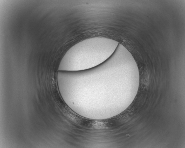 X0000067520518200604150203