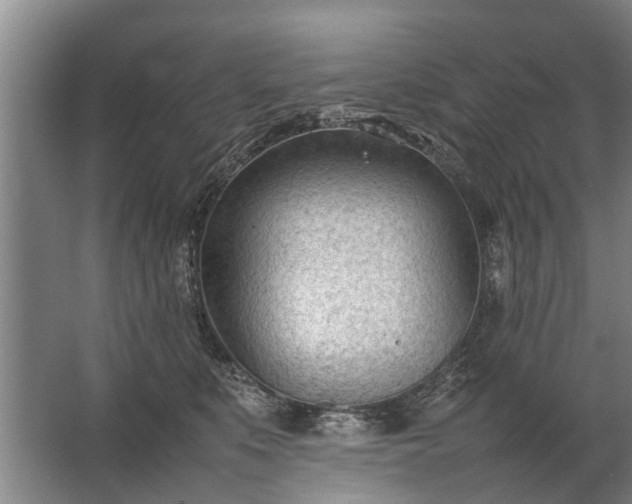 X0000067520519200604150203