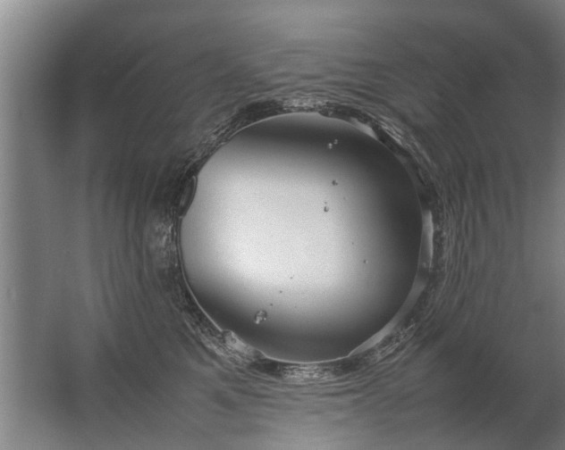 X0000067520521200604150203