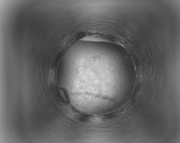 X0000067520523200604150203