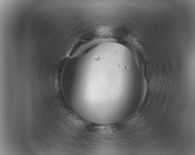 X0000067520524200604150203