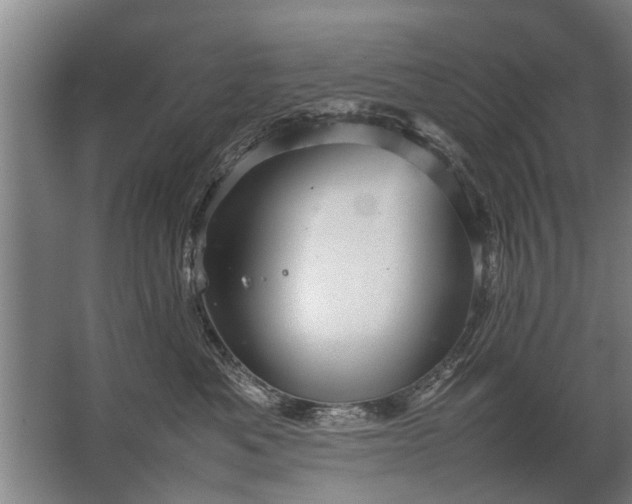 X0000067520525200604150203