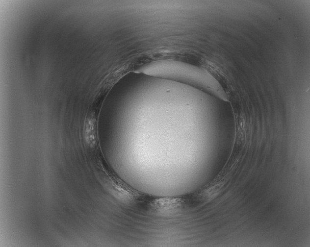 X0000067520526200604150203