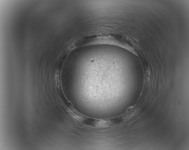 X0000067520527200604150203