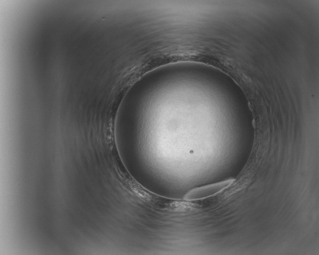 X0000067520528200604150203