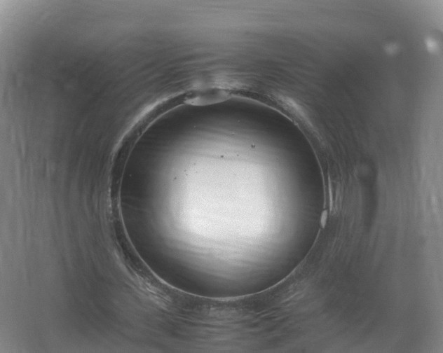 X0000067520531200604150202