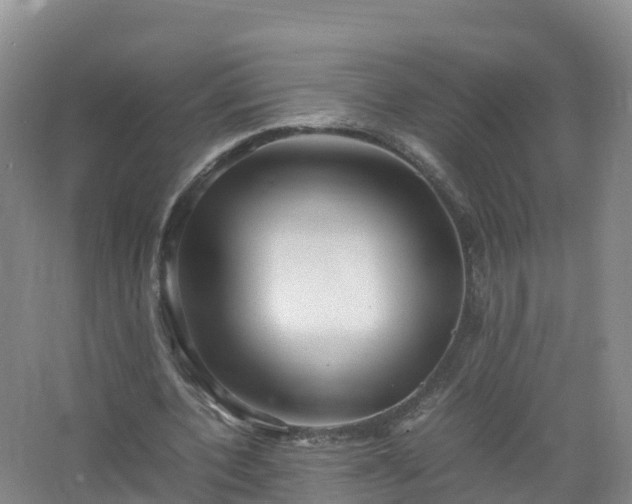 X0000067520532200604150202