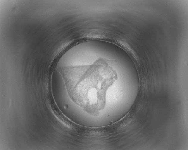 X0000067520533200604150202