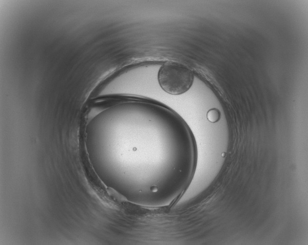 X0000067520534200604150202