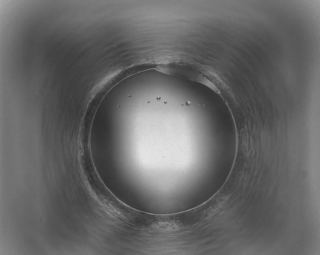 X0000067520536200604150202