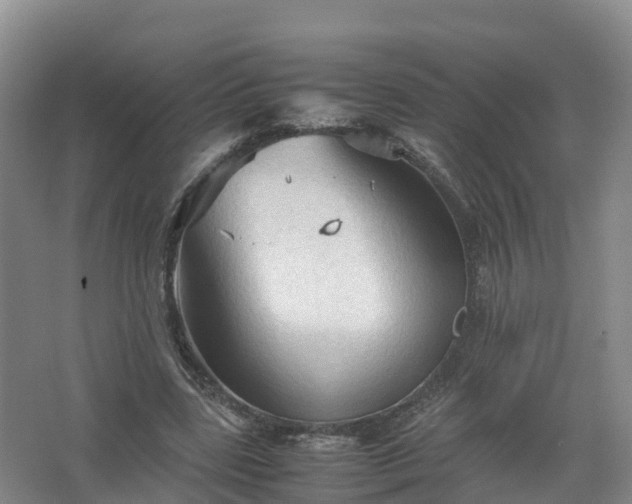 X0000067520539200604150202