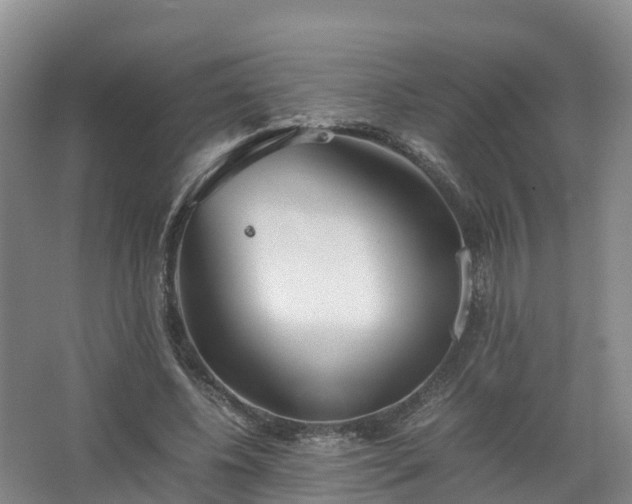 X0000067520540200604150202