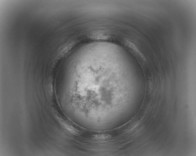 X0000067520541200604150202