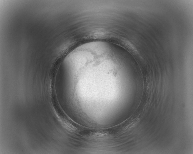 X0000067520542200604150202