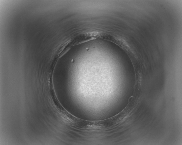 X0000067520545200604150202