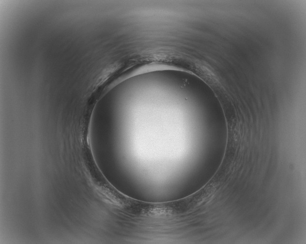 X0000067520546200604150202