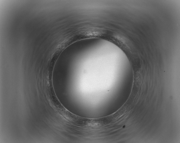 X0000067520547200604150202