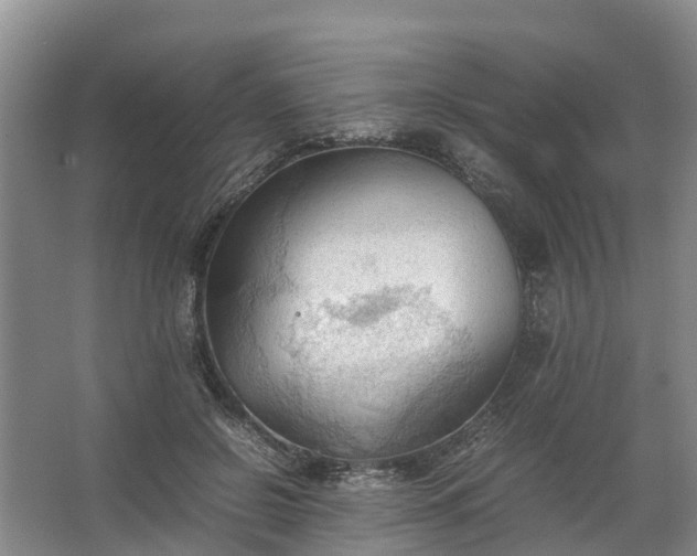 X0000067520550200604150202