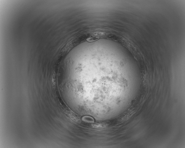 X0000067520561200604150203