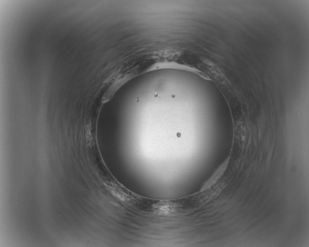 X0000067520564200604150203