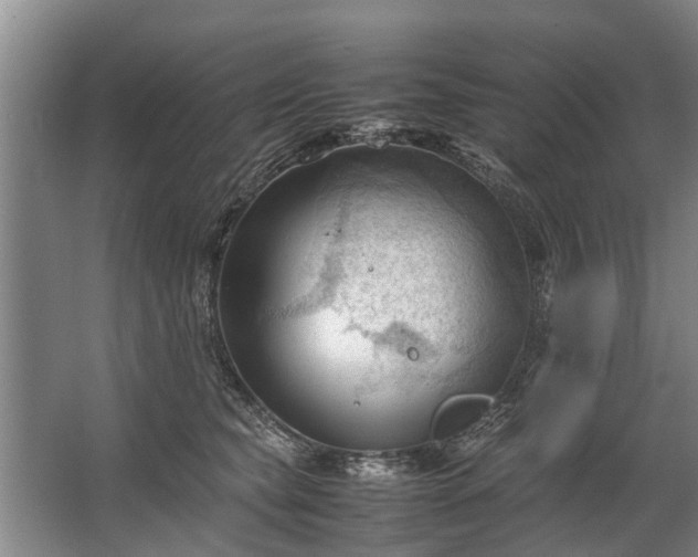 X0000067520565200604150203