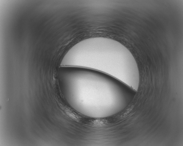 X0000067520566200604150203