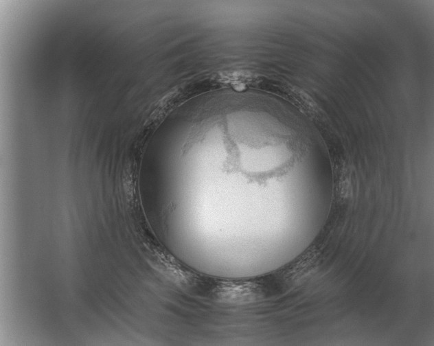 X0000067520569200604150203