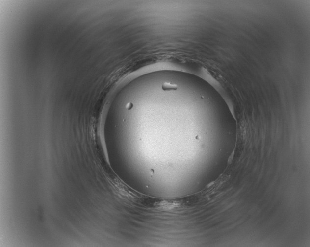 X0000067520570200604150203