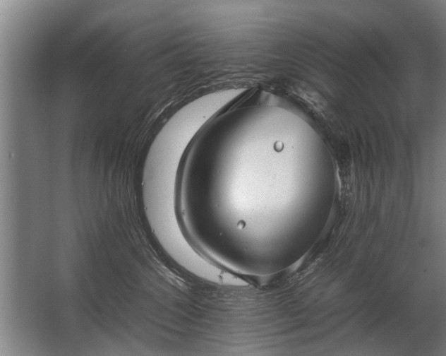 X0000067520572200604150203