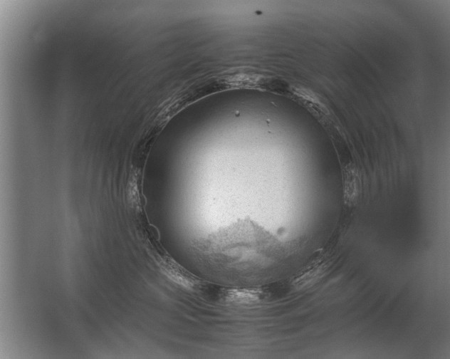 X0000067520573200604150203