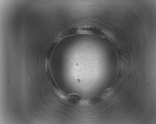 X0000067520574200604150203