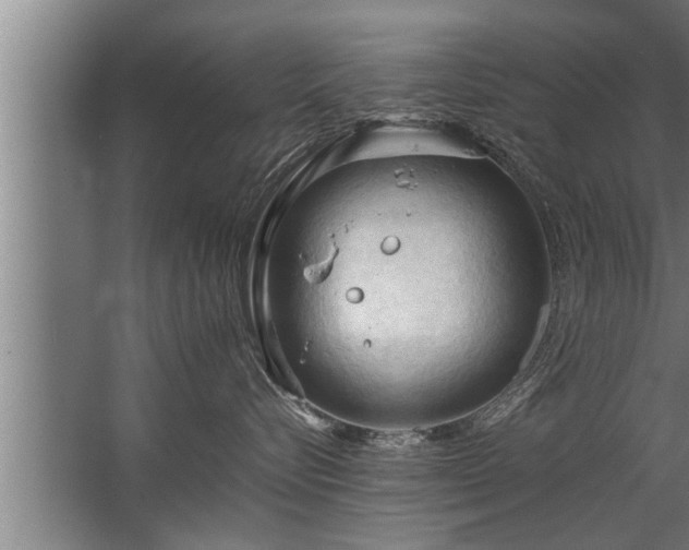 X0000067520576200604150203